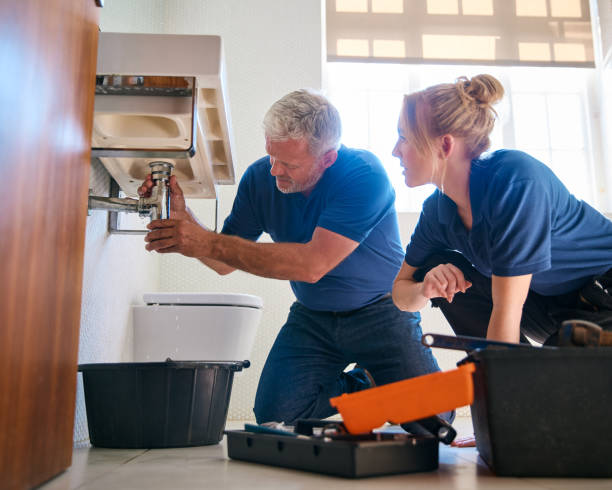 Best Clogged Drain Plumber  in Lamoni, IA